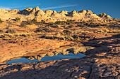 Vereinigte Staaten von Amerika, Utah. Sandsteinformation und kreuzweise geschichtete Schichten, mit wassergefüllten Pot-Hole-Reflexionen, Canyonlands National Park, Island in the Sky.