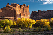 USA, Utah. Herbstpappeln und die Three Gossips bei Sonnenuntergang, Arches National Park
