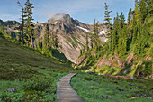 Table Mountain, Heather Meadows Recreation Area, Mount Baker Snoqualmie National Forest. North Cascades, Washington State