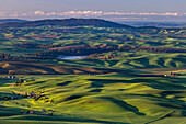 Rolling hills with barns from Steptoe Butte near Colfax, Washington State, USA