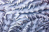 USA, Bundesstaat Washington, Sammamish. Frost auf dem Autofenster