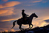 USA, Shell, Wyoming. Hideout Ranch-Cowboy auf dem Pferderücken im Sonnenuntergang. (PR,MR)