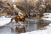 USA, Wyoming. Hideout Horse Ranch, wrangler crossing the stream on horseback. (MR,PR)