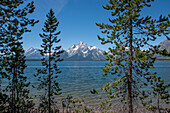 Grand Tetons, Lakeshore Trail, Colter Bay, Grand-Tetons-Nationalpark, Wyoming, USA