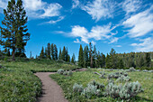 Wraith Falls Trail, Yellowstone National Park, Wyoming, USA