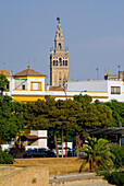 Patio De Las Banderas, Cathedral