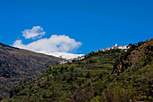 Capileira Landscape