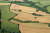 Landschaft in der Nähe des Dorfes Priston