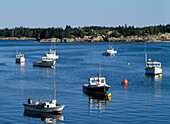 Lobster Boats In Stonington Harbour