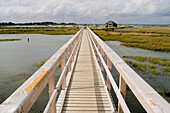 A wooden boardwalk leads over the water; Isle of Wight, England