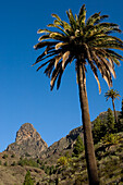 Island Of La Gomera, Canary Islands, Spain