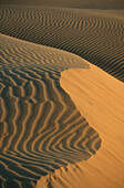 Sam, Wüste Thar, Rajasthan, Indien