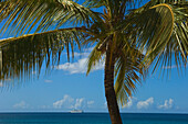 Palm Tree Near The Ocean With A Cruise Ship On The Horizon; Carriacou Island, Grenada