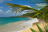 Blick durch Palm Frawns von Dr Groom's Beach; Carriacou Island, Grenada