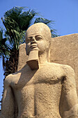Low Angle View Of Statue Of Ramses Ii, Memphis, Egypt; Memphis, Egypt