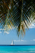 Blick durch die Palmen auf eine große Yacht vor der Westküste von Barbados; Barbados