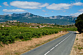 Straße zum mittelalterlichen Dorf Laguardia im Baskenland, Spanien