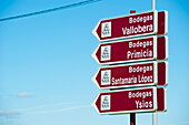 Sign Indicating The Nearest Wineries, La Rioja Alavesa, Basque Country, Spain