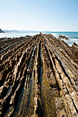 Als Flysch bekannte Sedimentgesteine am Strand von Itzurun, Zumaia, Baskenland, Spanien