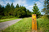 Camino De Santiago oder Jakobsweg Wegweiser auf der Straße, Baskenland, Spanien