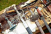 Nahaufnahme von Waffen bei Lacock Abbey, Lacock, Wiltshire, Großbritannien