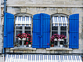 Detail von Blumenkästen im Fenster eines Hauses in Arles, Provence, Frankreich.