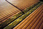 Traditionelle Tatami-Bodenmatten aus Binsen, Iriomote Island, Okinawa Grp, Japan.