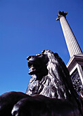 Löwenstatue unter der Nelsons-Säule, Trafalgar Square. London, Vereinigtes Königreich.