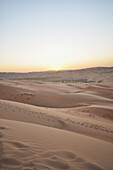 United Arab Emirates, Abu Dahbi, Empty Quarter, Liwa desert dune sunset