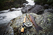 Sweden, Brown trout and fishing rod on rock; Miekak Lapland