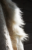 Sweden, Reindeer fur; Miekak Lapland