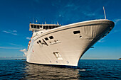 Croatia, Thomson Majesty cruise ship coming; Dubrovnik