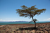 Kenya, Barren scenery around Loyangalani; Lake Turkana