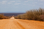 Dirt road; Kenya