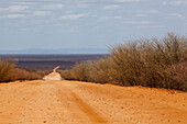 Schotterstraße; Kenia