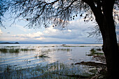 Kenya, View of Lake Baringo; Rift Valley