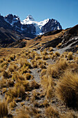 Kondorri-Gipfel; Cordillera Real, Bolivien