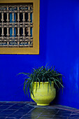 Blue Wall With Plant And Decorative Screen In A Window, Majorelle Gardens; Marrakesh, Morocco