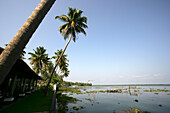 Backwaters; Kerala, Indien