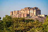 Die Festungsmauern des auf einem Hügel gelegenen Mehrangarh Fort oberhalb der Stadt Jodhpur; Jodhpur, Rajasthan, Indien