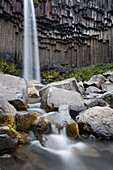 A view of Svartifoss Waterfall and basalt columns.; Skaftafell National Park, Iceland