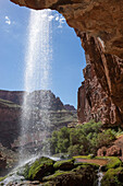 A view of Ribbon Falls off North Kaibab Trail.; Grand Canyon National Park, Arizona
