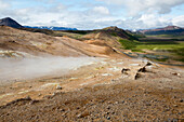 Ein Blick auf die dampfenden Schlammtöpfe im geothermischen Gebiet in der Nähe des Myvatn-Sees; Island
