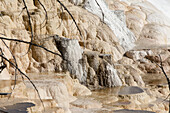 Weiße und beigefarbene Mineralablagerungen aus geothermischen Erscheinungen in Mammoth Hot Springs; Yellowstone National Park, Wyoming