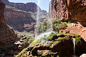 Ein Blick auf die Ribbon Falls am North Kaibab Trail; Grand Canyon National Park, Arizona