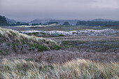 Küstendünen und Gräser unter einem stürmischen Himmel entlang der Nordküste von Santa Cruz; Santa Cruz, Kalifornien, Vereinigte Staaten von Amerika