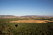 Hot air balloons fly over agricultural fields and vineyards in California, east of Napa Valley.; Winters, California