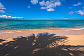 Türkisblaues Wasser der Karibik und Schatten von Palmen an einem Sandstrand; Guadeloupe, Französisch-Westindien