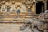 Three alcoves with Hindu deities in a wall and carved elephant stairway of Dravidian Chola era Airavatesvara Temple; Darasuram, Tamil Nadu, India