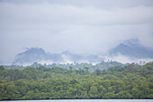 Dampf und Nebel steigen aus dem Dschungel der Sewa Bay in der China Strait auf; Papua-Neuguinea